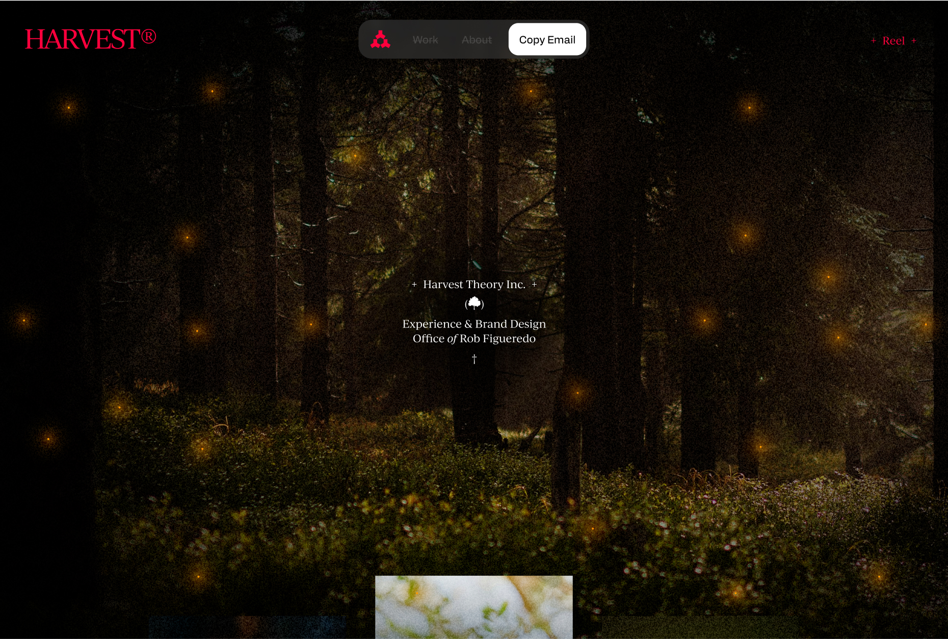 Harvest Theory Inc. homepage hero with forest background